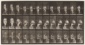 Plate 238. Sitting on Chair, Crossing Legs, Drinking from Tea Cup by Eadweard Muybridge