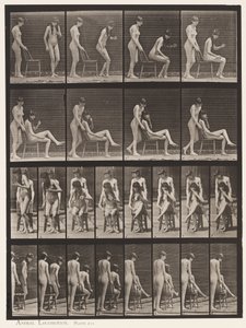 Plate 239. Two Models, One Standing, the Other Sitting, Crossing Legs by Eadweard Muybridge