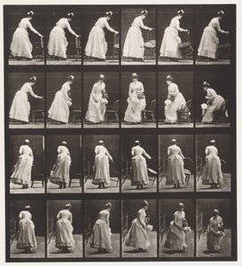 Placing Chair, Sitting and Flirting a Fan (Plate 243) by Eadweard Muybridge