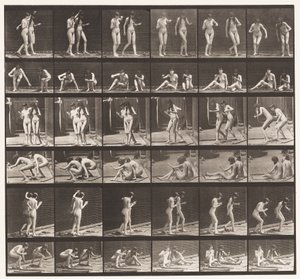 Plate 245. Two Models Turning Around Sitting on the Ground