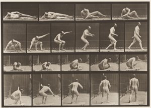 Plate 258. Arising from the Ground and Walking Off