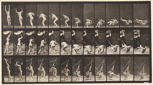 Plate 262. Getting out of Hammock
