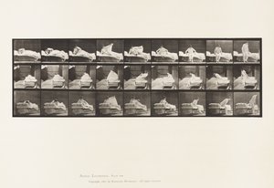 Plate 265. Getting Out of Bed and Preparing to Kneel by Eadweard Muybridge