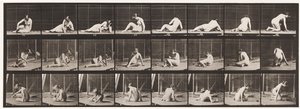 Plate 266. Turning and Changing Position While Still on the Ground by Eadweard Muybridge