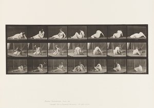 Turning and Changing Position While on the Ground by Eadweard Muybridge