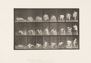 Arising from the Ground by Eadweard Muybridge
