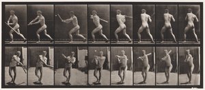 Plate 278. Base-ball; Batting