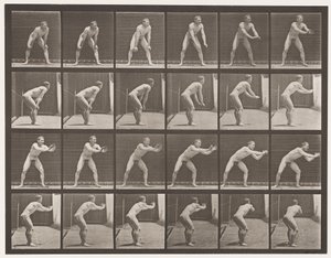 Plate 280. Baseball; Catching