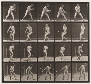 Plate 288. Baseball; Error