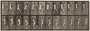 Plate 292. Cricket; Batting; Back Out