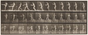 Plate 301. Foot-ball; Punt, 1885 by Eadweard Muybridge