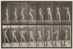 Plate 309. Throwing the Hammer
