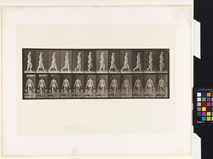 Plate 30. Walking, Carrying Bucket of Water in Each Hand by Eadweard Muybridge