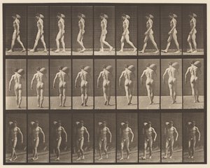Plate 31. Walking, Carrying 75-lb Stone on Right Shoulder by Eadweard Muybridge