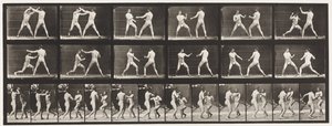 Plate 329. Boxing; (Shoes)