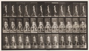 Plate 32. Walking, Carrying Bucket of Water in Each Hand by Eadweard Muybridge