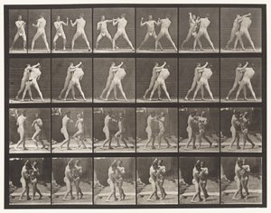 Plate 330. Boxing; Cross-Counter (Shoes)