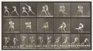 Boxing; Stop for Cross-Buttocks