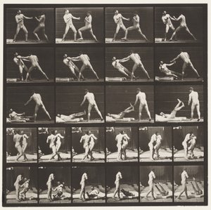 Plate 333. Boxing; Knocking Down (Shoes)