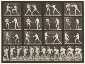 Boxing; With Gloves by Eadweard Muybridge