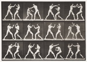 Boxing; Open Hand (Shoes) by Eadweard Muybridge