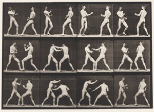Boxing; Open Hand (Shoes) by Eadweard Muybridge
