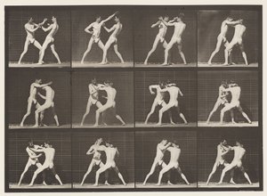 Plate 340. Boxing, Open Hand