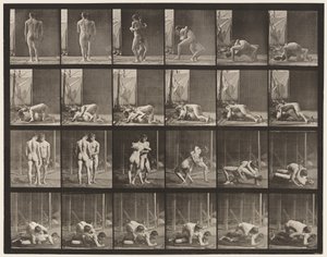 Plate 346. Wrestling, Lock