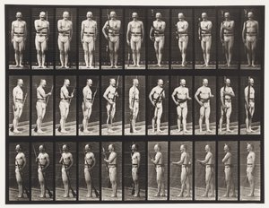 Fix and Unfix Bayonets, 1872-1885 by Eadweard Muybridge