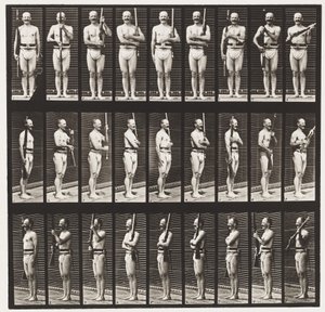 Support Arms and Arms Port by Eadweard Muybridge