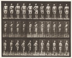 Carry Arms, Parade Rest, and Trail Arms by Eadweard Muybridge