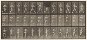 Charging Bayonet, 1872-1885 by Eadweard Muybridge