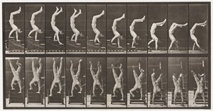 Acrobat, Descending Stairs on Hands by Eadweard Muybridge