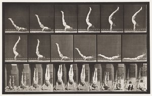 Acrobat, Horizontal Press Up by Eadweard Muybridge