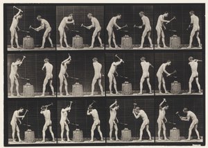 Blacksmiths, Two Models, Hammering on Anvil by Eadweard Muybridge
