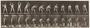 Plate 376. Blacksmith, Hammering on Anvil, Two Hands