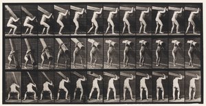 Plate 383. Lifting A Log on Shoulder by Eadweard Muybridge