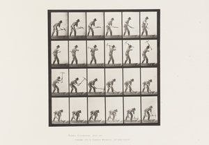 Miner Using a Pick by Eadweard Muybridge
