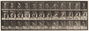 Plate 387. Farmer, Using a Long-Handled Shovel by Eadweard Muybridge