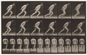 Dragging a Garden Roller by Eadweard Muybridge