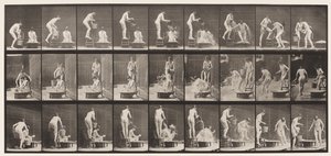 Plate 408. Two Models by Eadweard Muybridge