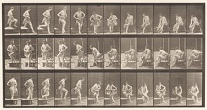 Plate 410. Stepping Out of Bath-Tub, Sitting Down, Wiping Feet by Eadweard Muybridge