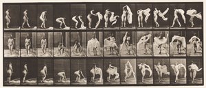 Plate 419. Toilet, Stooping, Throwing Wrap Around Shoulders by Eadweard Muybridge