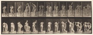 Plate 428. Toilet; Two Models, 1 Disrobing