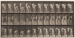 Plate 434. Hanging Clothes on Line by Eadweard Muybridge