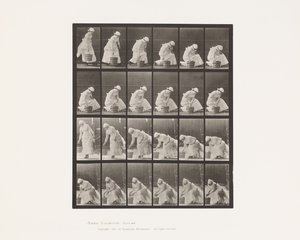 Setting Down Bucket and Preparing to Scrub by Eadweard Muybridge