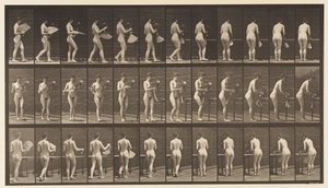 Plate 441. Carry Vase and Placing It on Table by Eadweard Muybridge