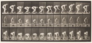 Plate 442. Stooping, and Rolling A Stone on the Ground by Eadweard Muybridge