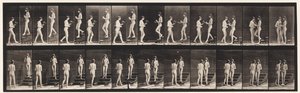 Plate 448. Two Models by Eadweard Muybridge