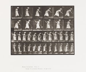 Raking Hay by Eadweard Muybridge
